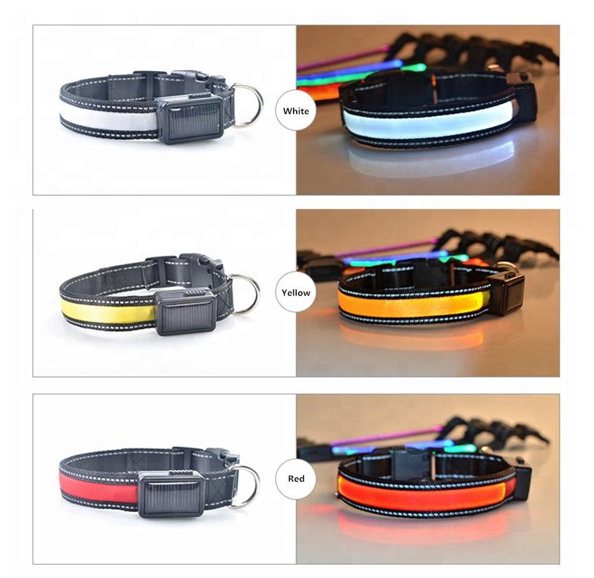 USB and Solar Charge Reflective LED Dog Collar – High Visibility and Dual Charging Options