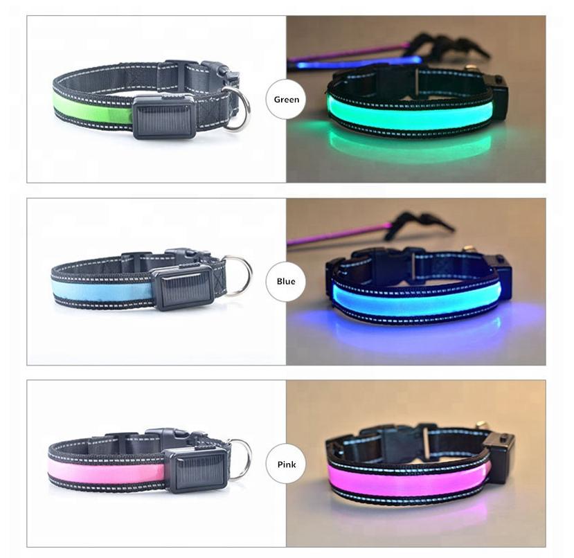 USB and Solar Charge Reflective LED Dog Collar – High Visibility and Dual Charging Options