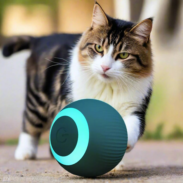 Automatic Moving Interactive Cat Toy – Rechargeable Rolling Electric Ball