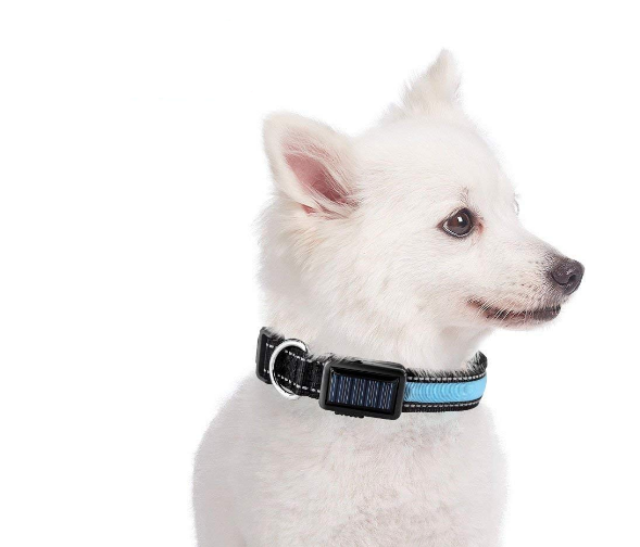 USB and Solar Charge Reflective LED Dog Collar – High Visibility and Dual Charging Options