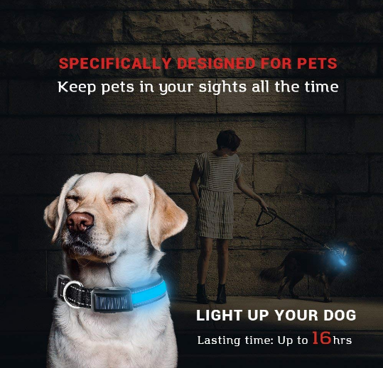 USB and Solar Charge Reflective LED Dog Collar – High Visibility and Dual Charging Options