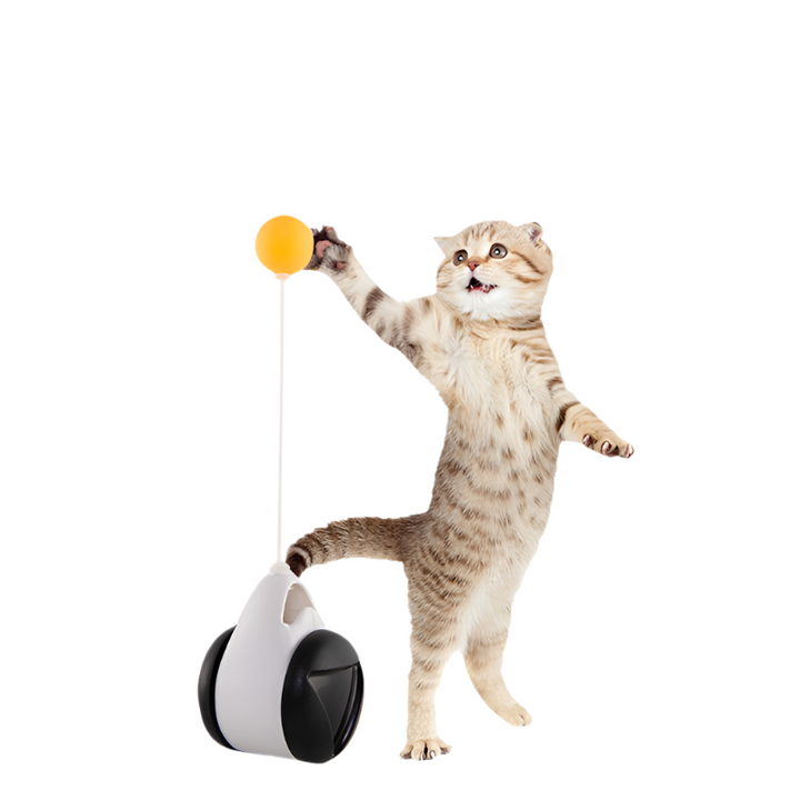 Tumbler Balanced Wheel Swinging Ball Cat Toy – Interactive and Engaging Play for Cats