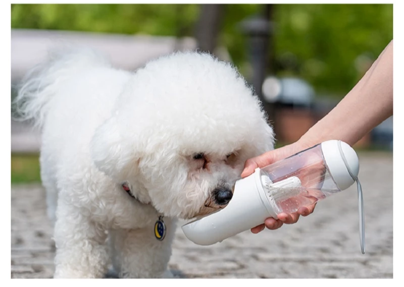 Outdoor Travel Pet Water Dispenser – Convenient Hydration for Pets on the Go