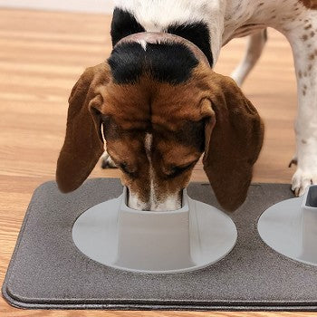 Ear-Clear Pet Feeding Station – Keep Your Dog’s Ears Clean and Feeding Area Mess-Free